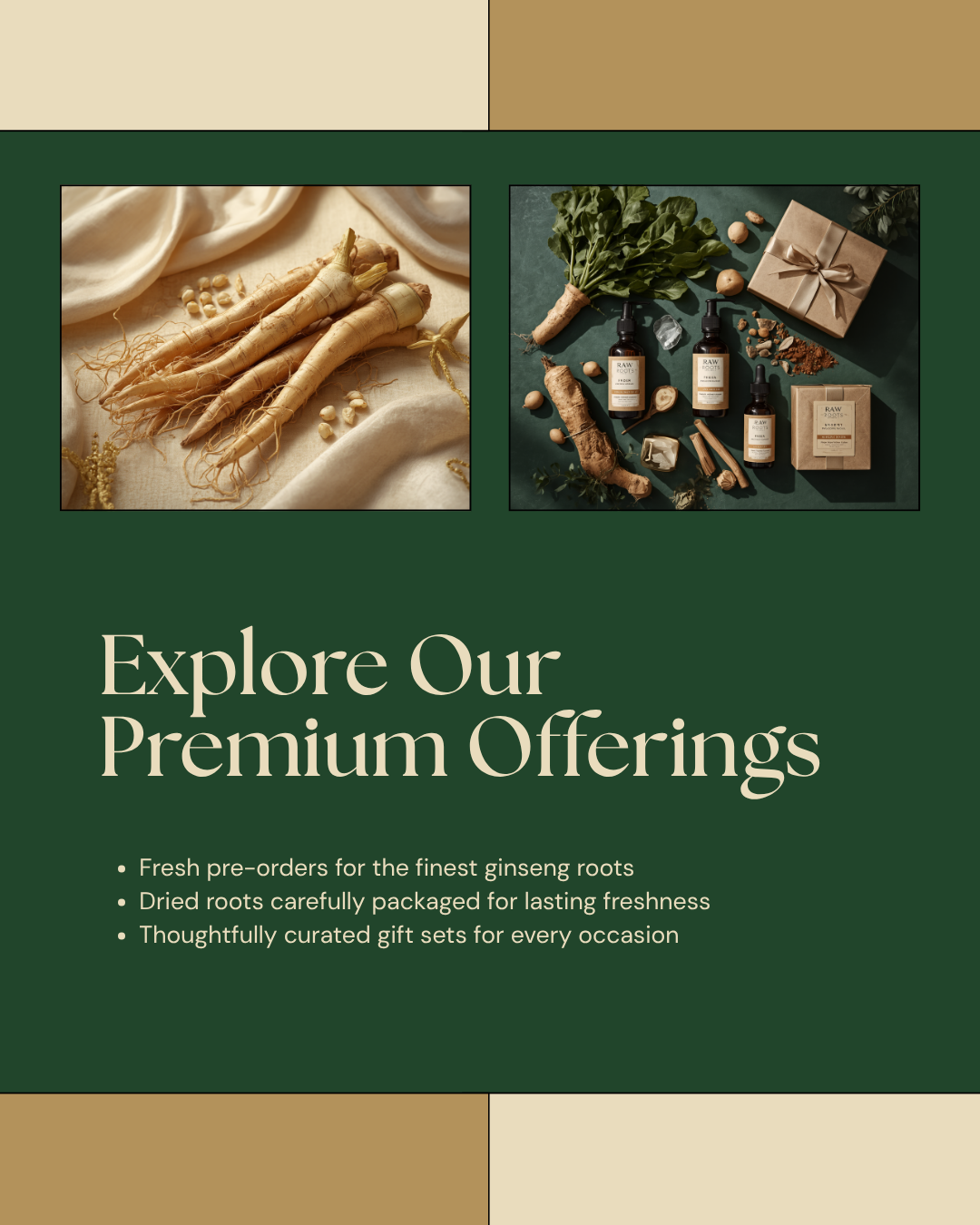 Raw Roots ginseng campaign