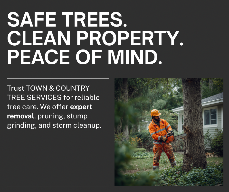 Town and Country Tree Services creative